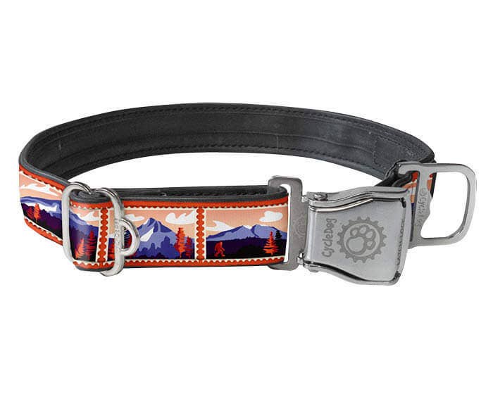 Cycle Dog - Wholesale Pet Collar - Dog - Sasquatch Mountains Dog Collar1