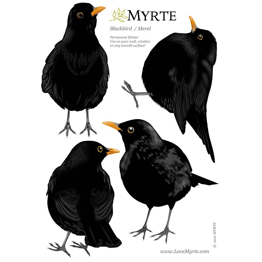 MYRTE - Wholesale Wall Decal/Stickers - Blackbird Illustration Wall Decal3