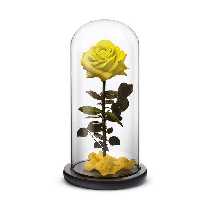 Everlasting Rose (Yellow) for wholesale by Rosephoria