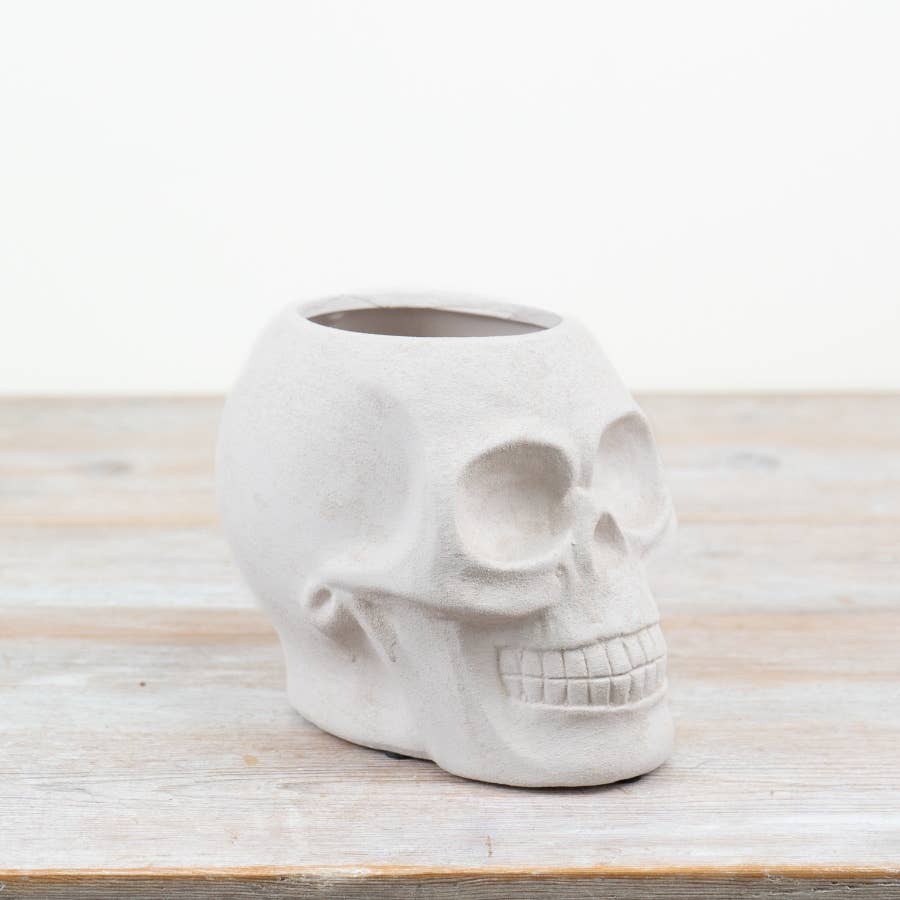Gainsborough Giftware x Portland Living – wholesale Plant pot – White Skull Planter 14.5cm