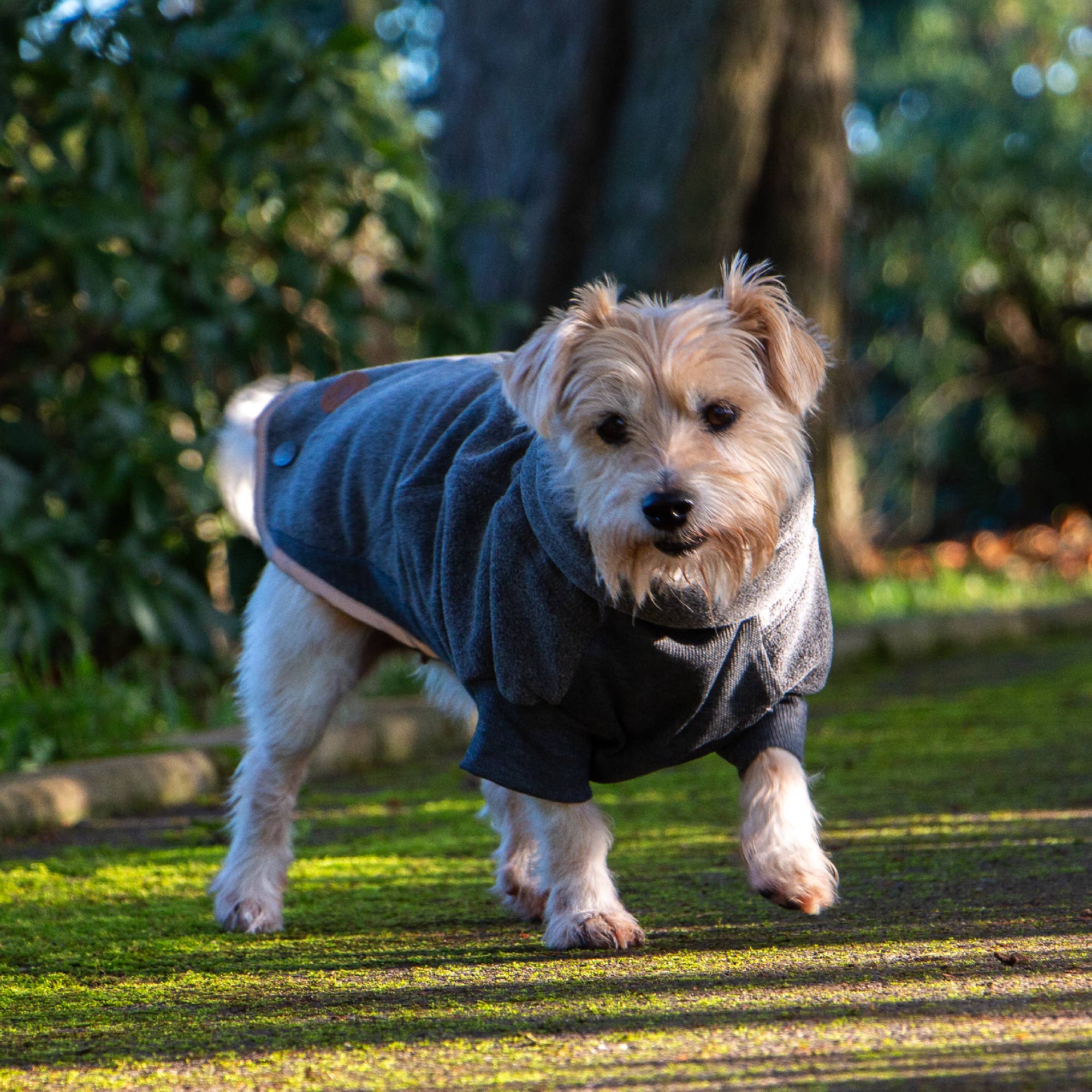 Ancol Pet Products Ltd - Wholesale Pet Coat - Dog - Polar Fleece Dog Jumper Grey4
