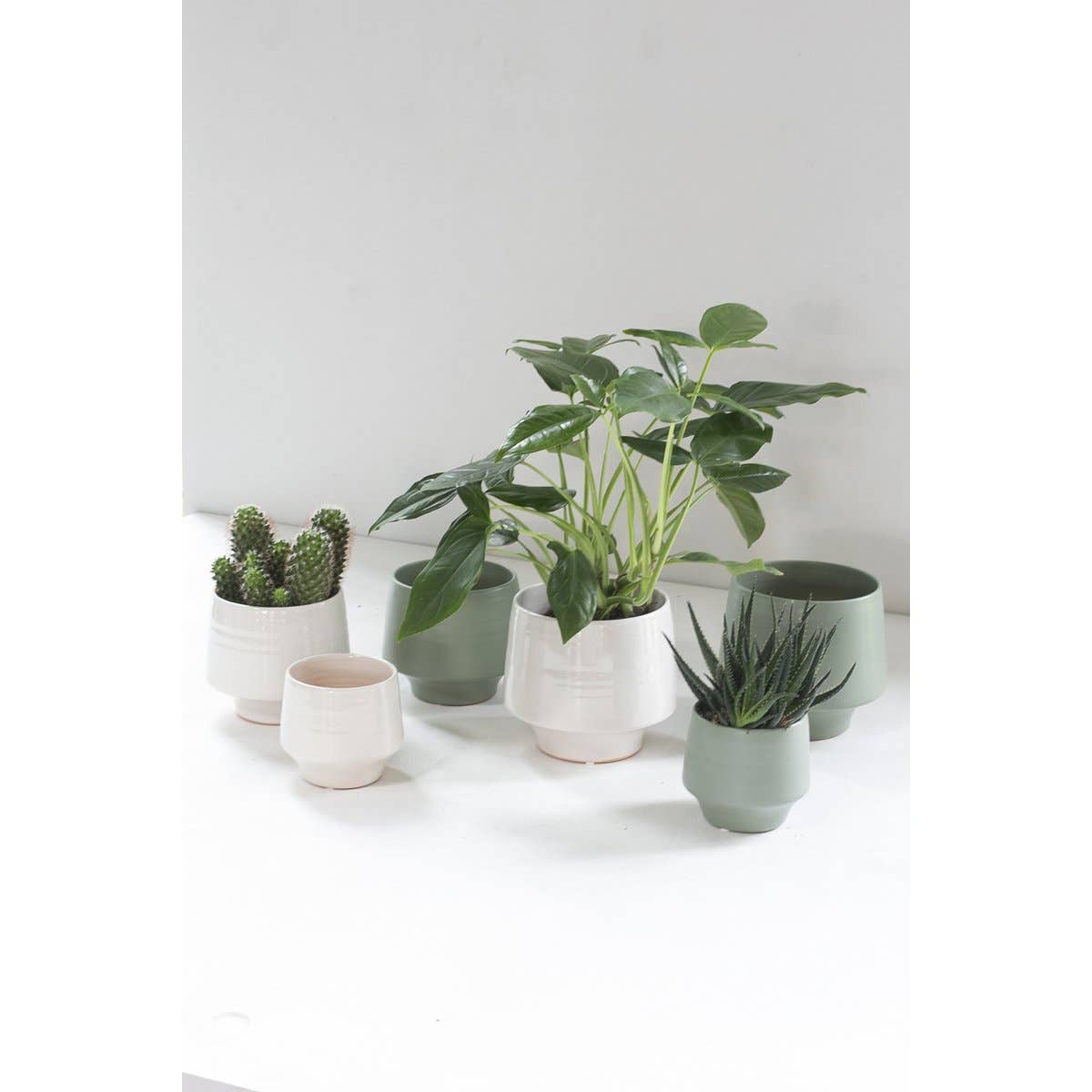 Ceramics Limburg - Wholesale Plant Pot - Vida pot shiny white S1