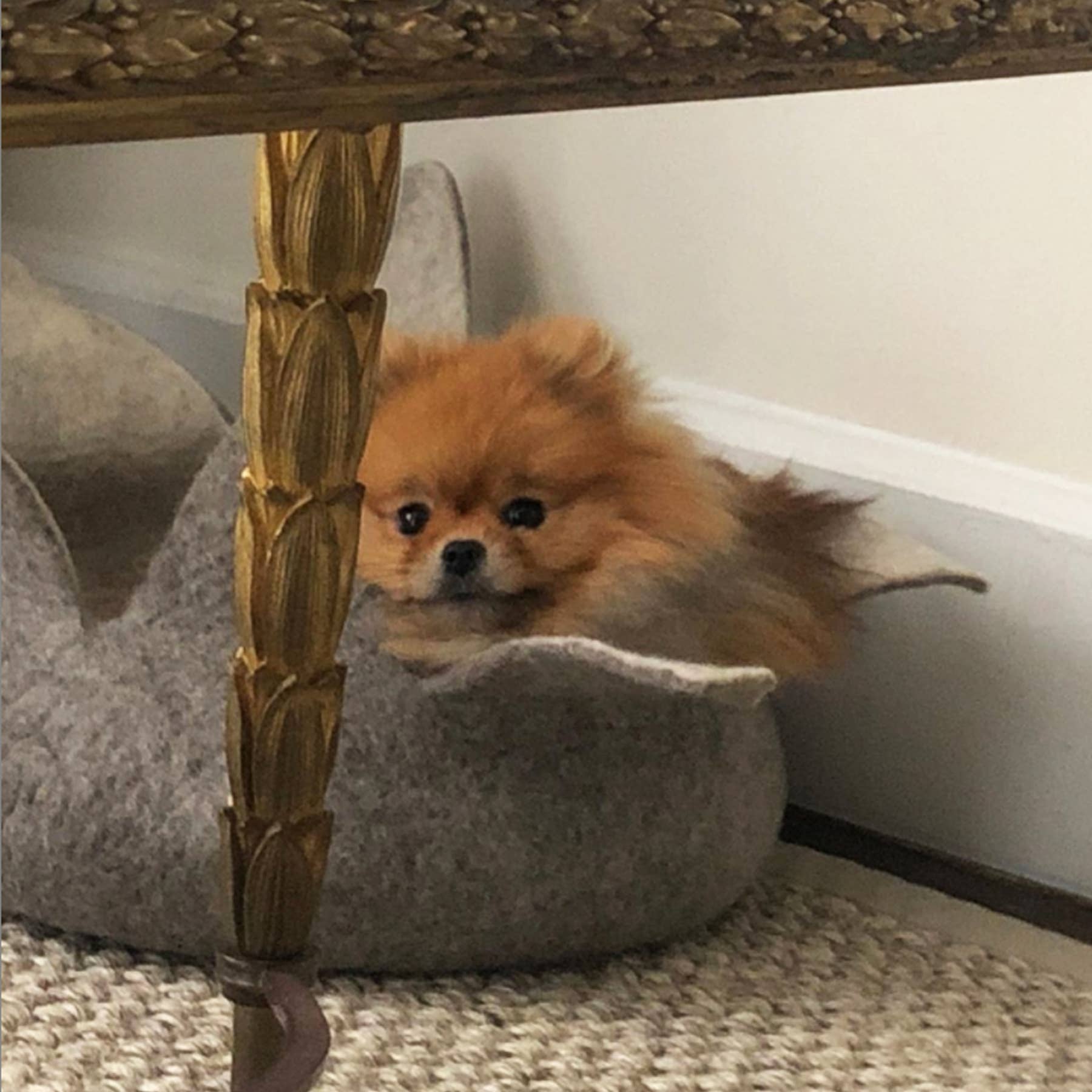 Karma Cat Inc. - Wholesale Pet Bed - Cat/Dog - Natural Petal Wool Pet Basket0