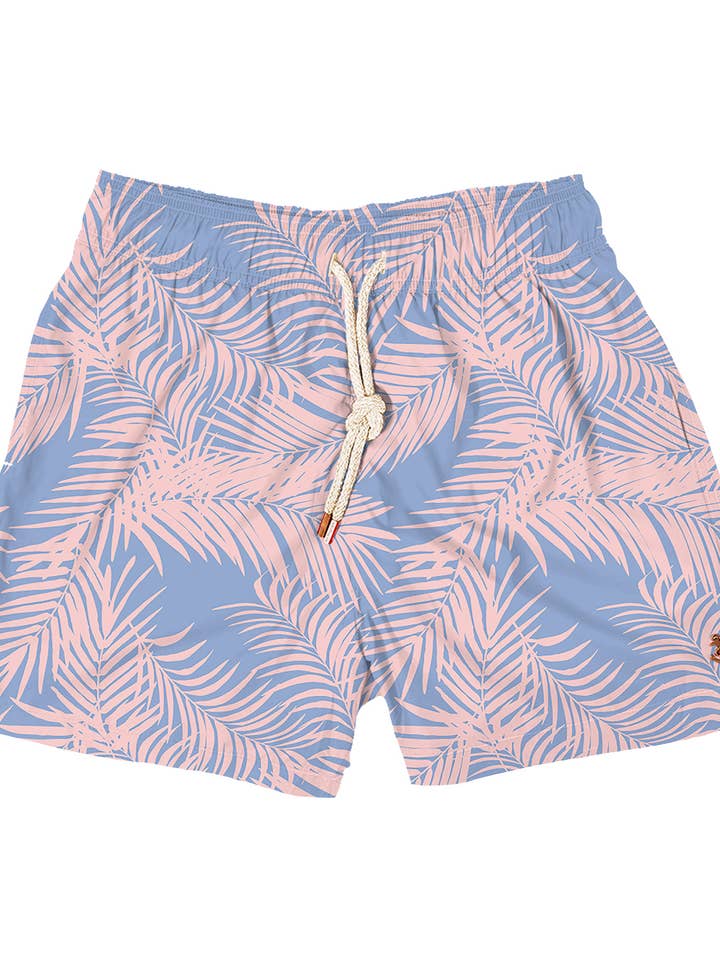 Paumes pour la vente par Retromarine