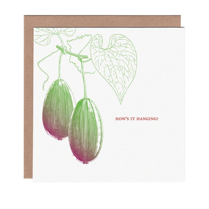 Kiwi Hang Friendship Greeting Card for wholesale by Ampersand M Studio