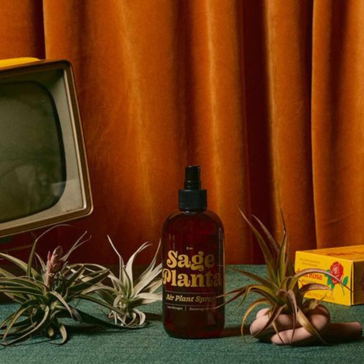 Sage Planta - Wholesale Kunstmest - Voedende spray voor luchtplanten1