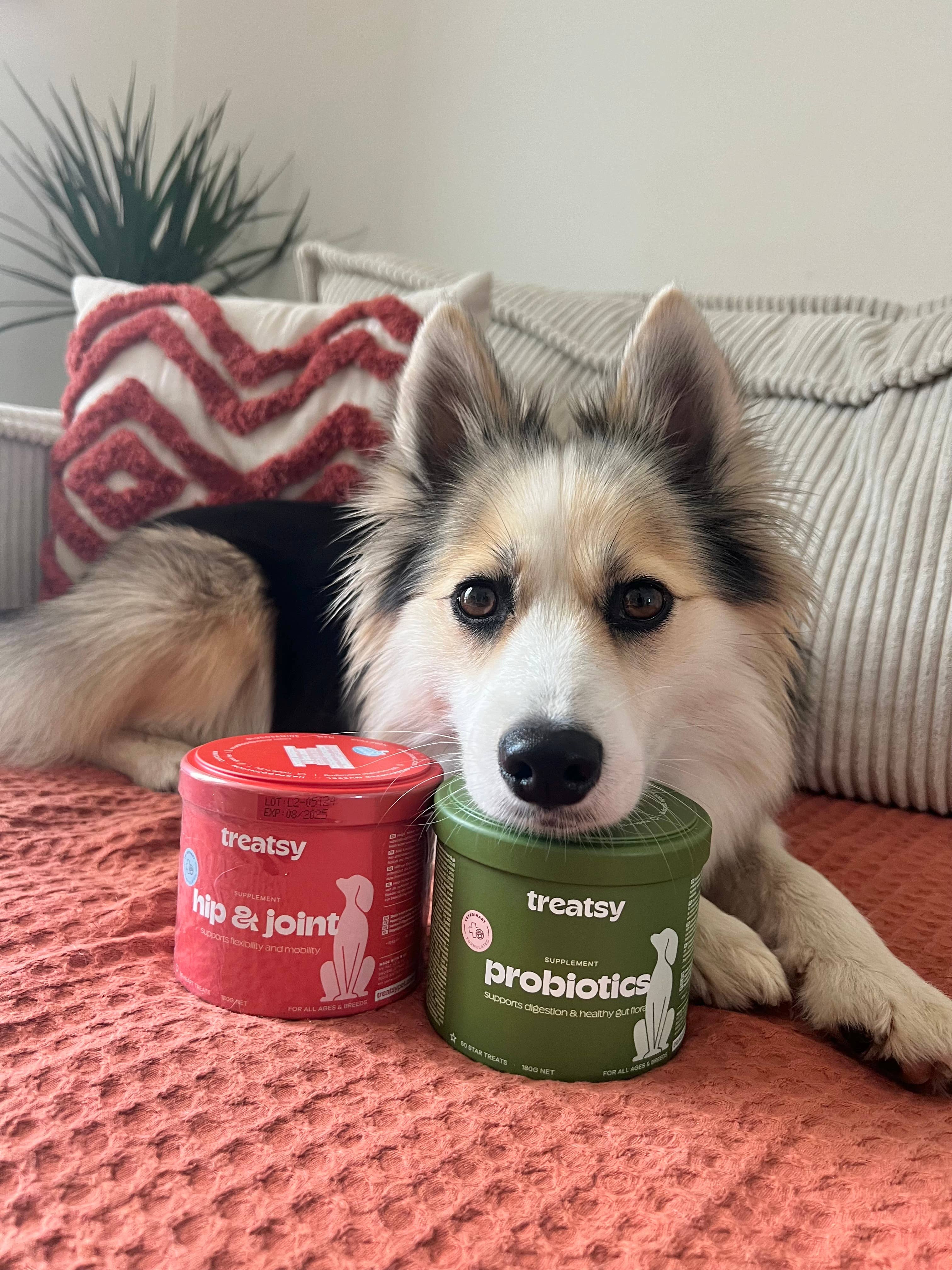 Treatsy - Vente Compléments alimentaires – chien - Complément pour hanches et articulations pour chiens | Recommandé par vétérinaires | Poulet12
