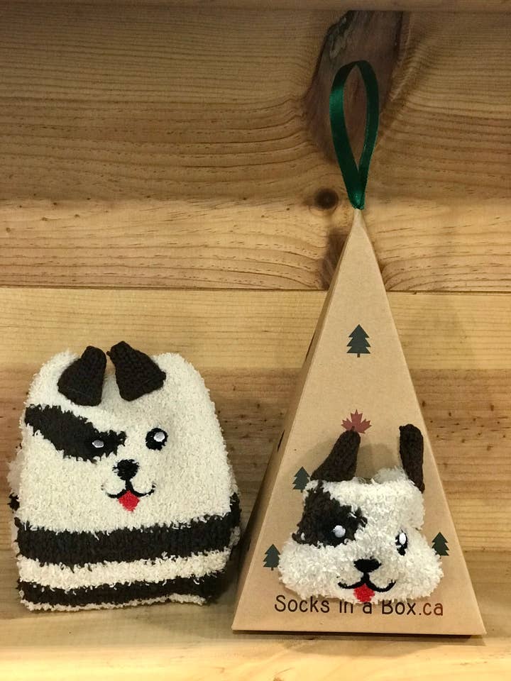 Brown Puppy Socks in a Box for wholesale by Socks In A Box