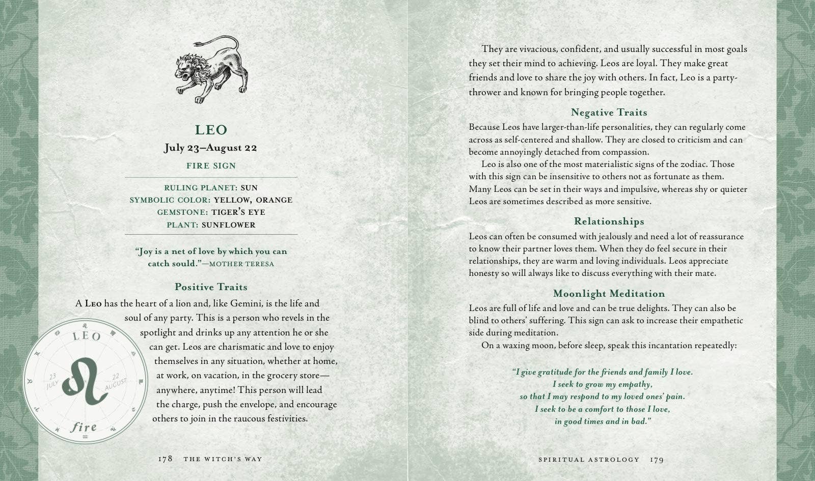 Hachette Book Group - Wholesale Body, Mind & Spirit Book - Witch's Way by Shawn Robbins10