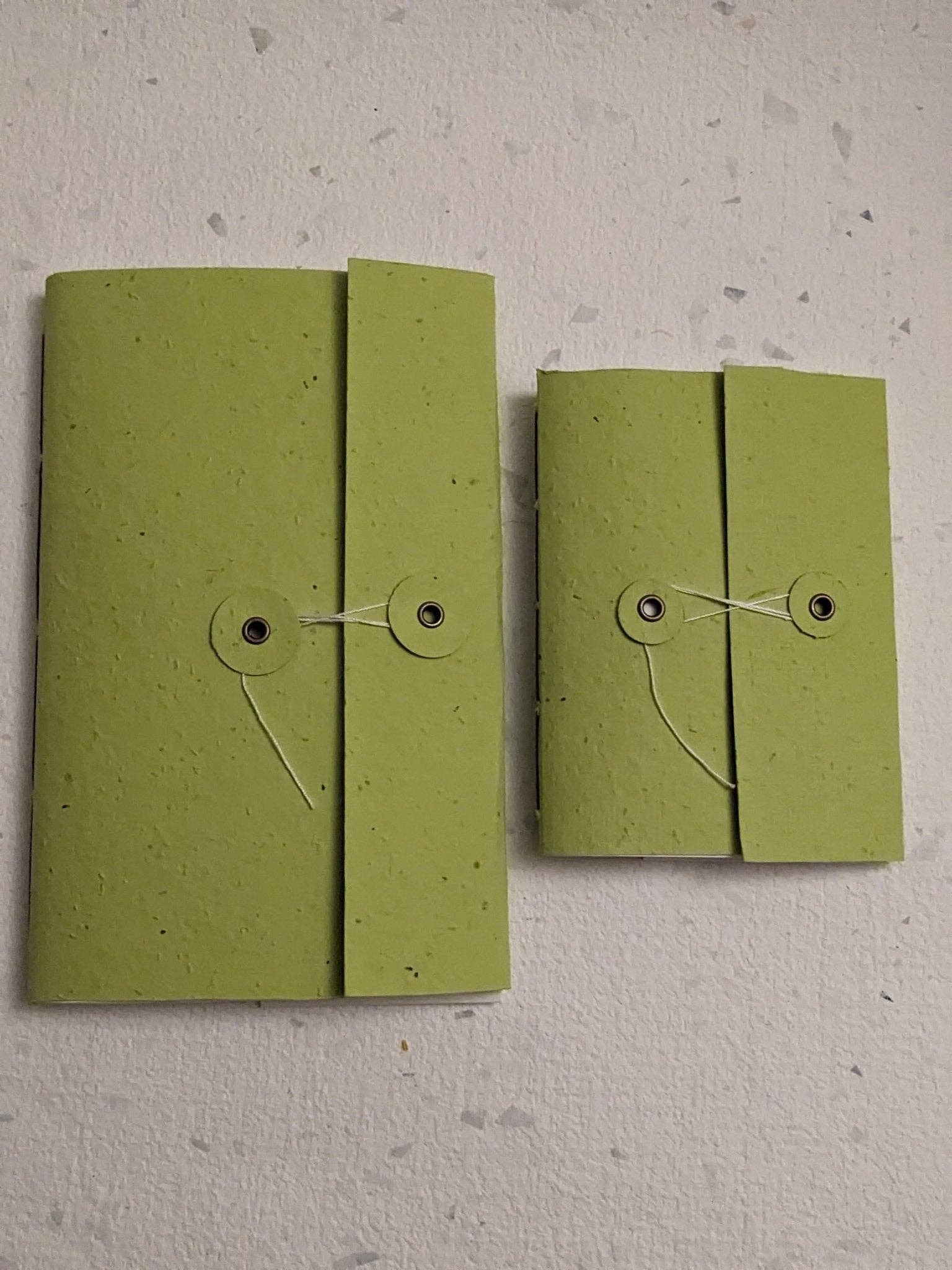 Creative Artifacts HQ - Wholesale Notebook - Large | Plantable Button and String Notebook13