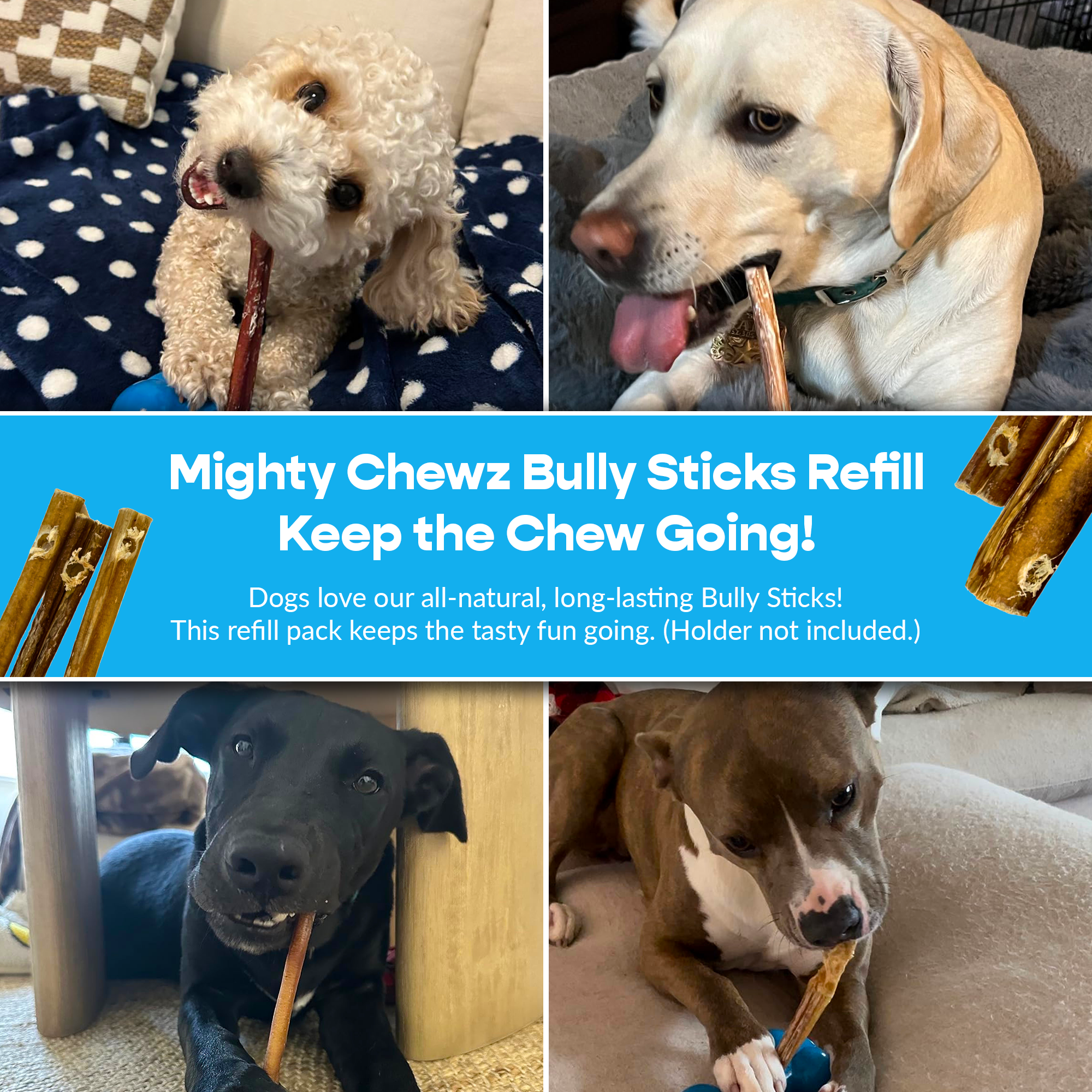 Mighty Chewz - Wholesale Pet Treats - Dog - 12" Thick Bully Sticks - Refill Pack6