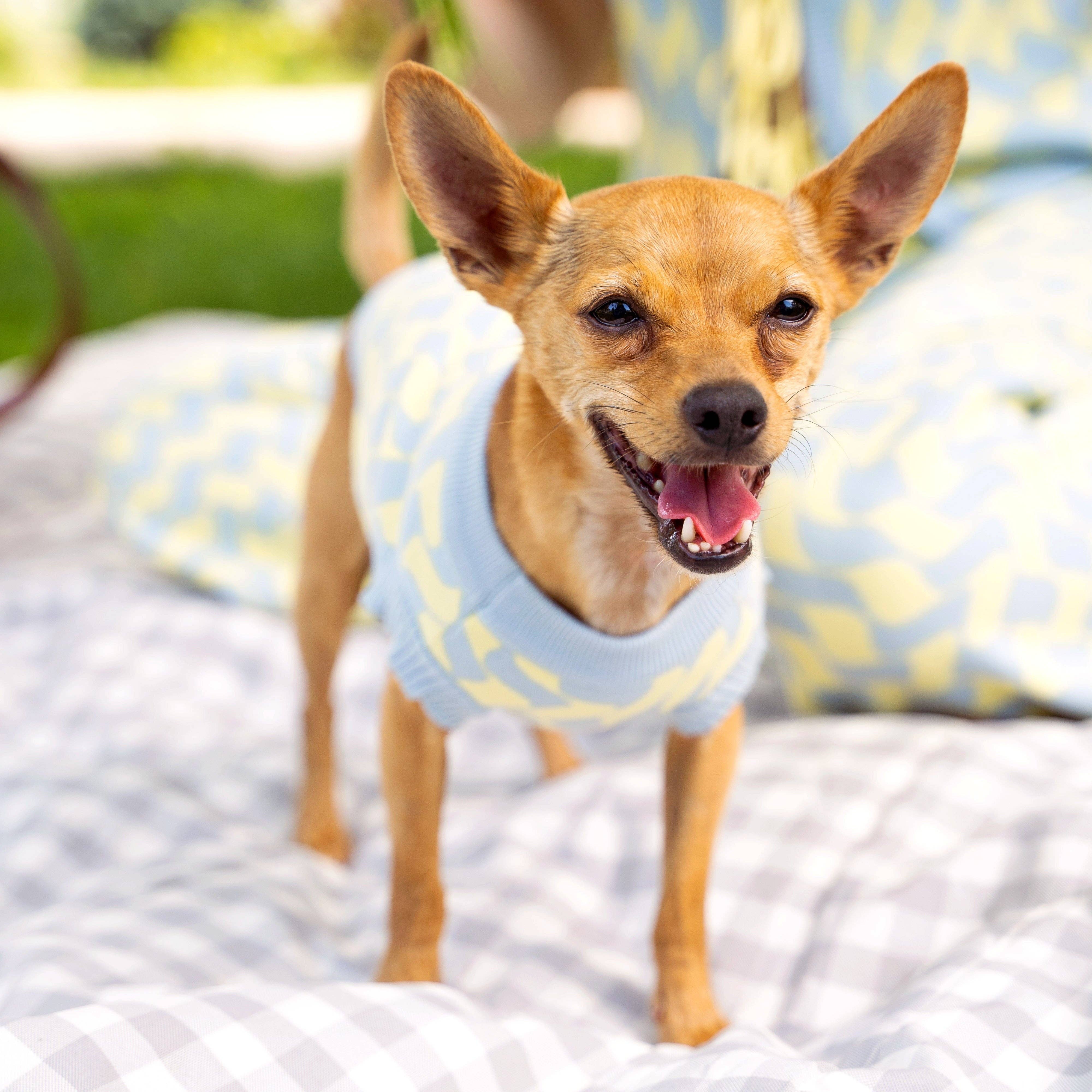 Sunbean - Wholesale Pet Sweater - Dog - Seaside Swirl Cotton Knitted Dog Vest2