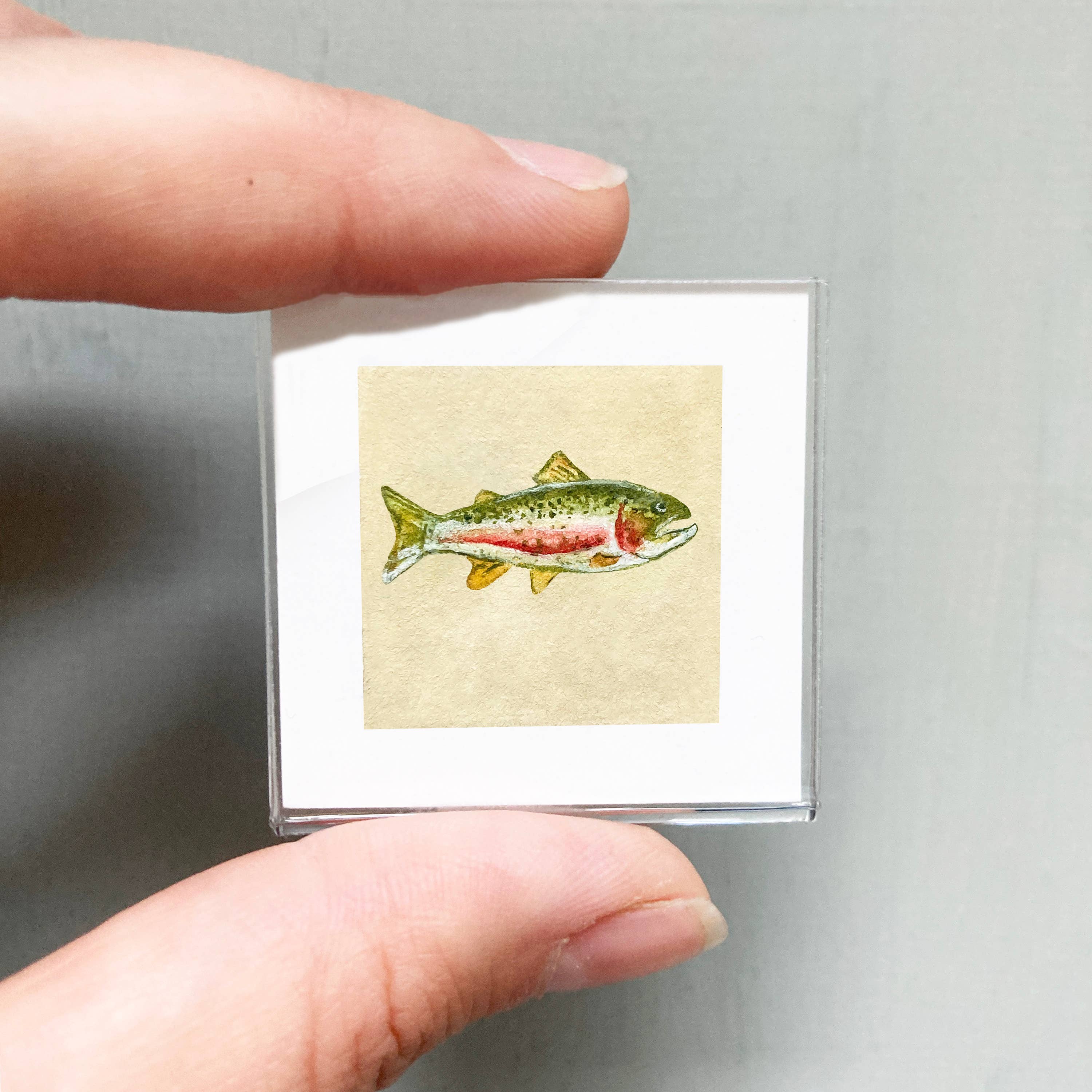 Mick's Art Goods - Wholesale Art Print - Mini 1" Rainbow Trout Tiny Watercolor Framed Art Print
