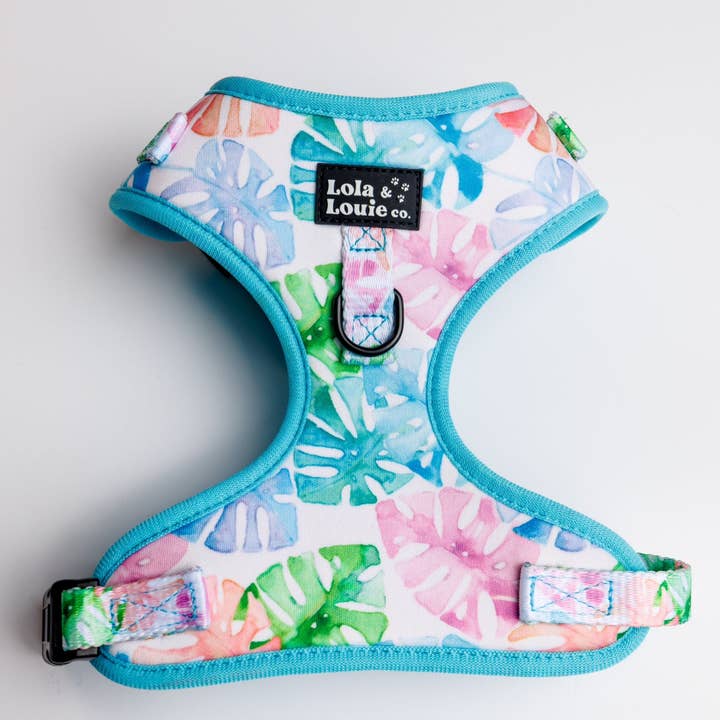 Lola & Louie co. - Wholesale Pet Harness - Dog - Adjustable Harness- Monstera0