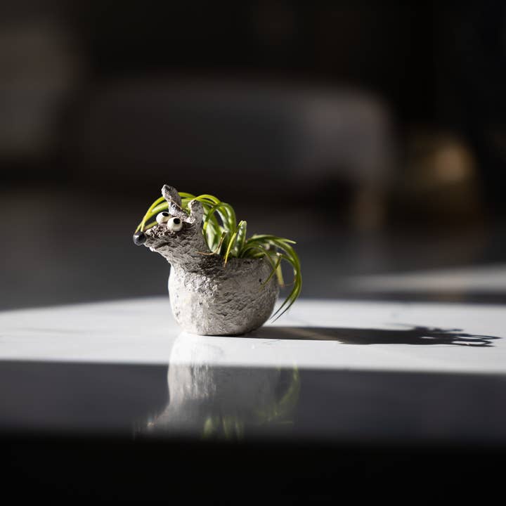 Cohasset Gifts - Wholesale Plant Pot - Baby Barney Mini Blobhouse Planter1