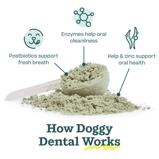 Woof - Wholesale Pet Treats - Dog - Pupsicle Mix- Doggy Dental4