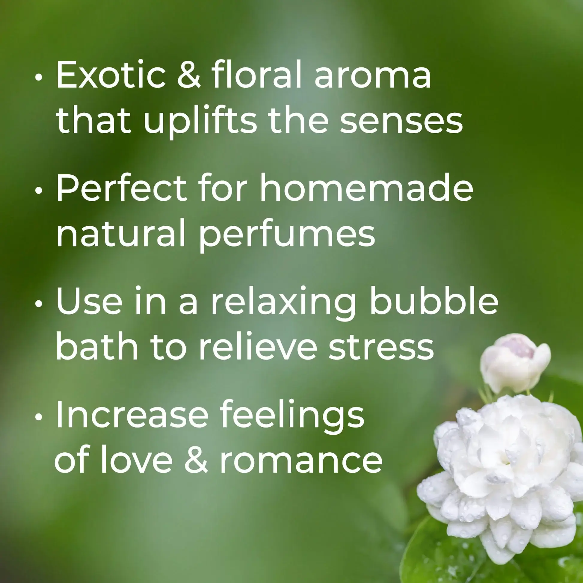 Plant Therapy - Wholesale Essential Oil - Jasmine Sambac Pure Absolute 10 ml4