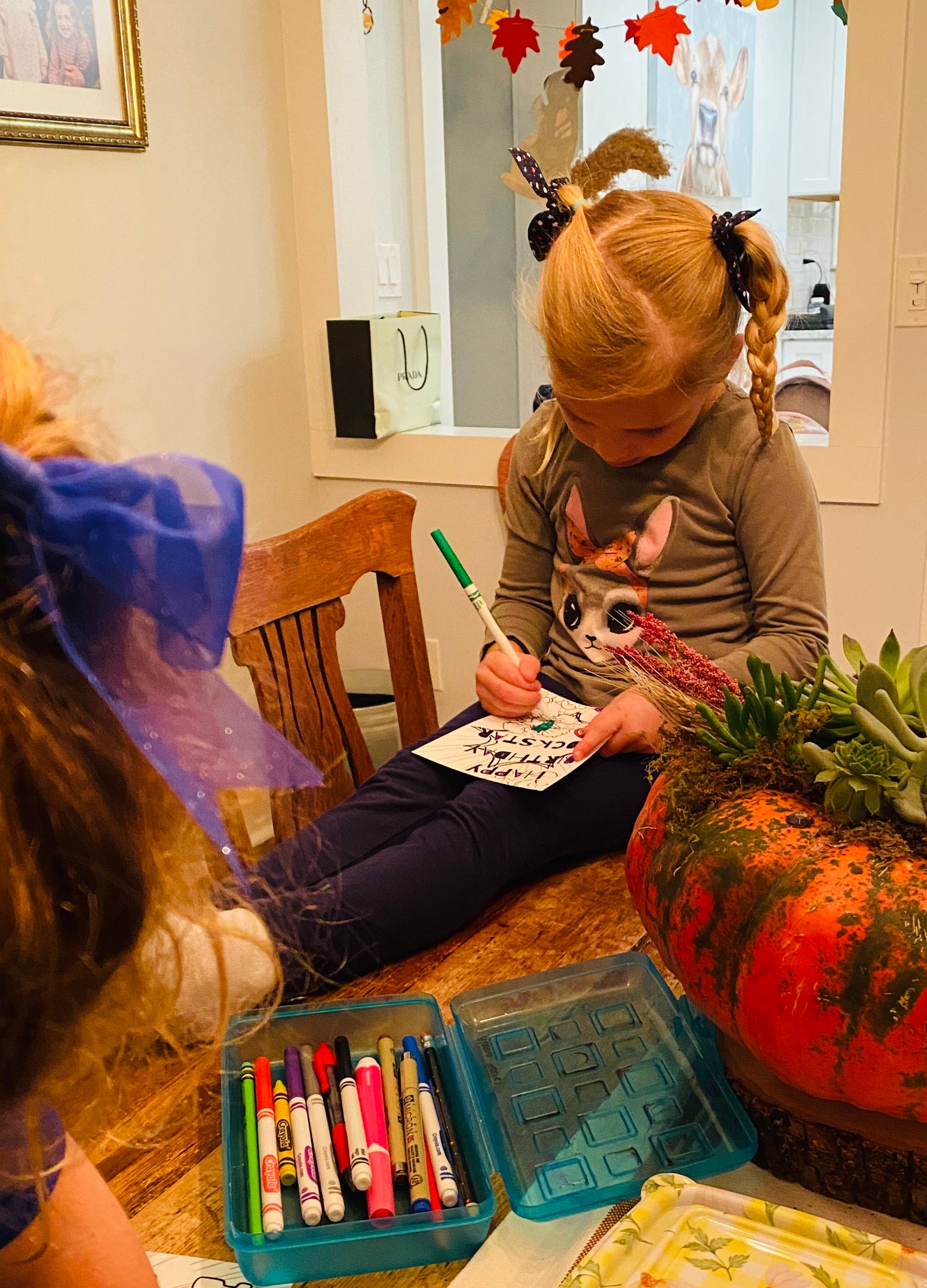 UNDERDOG NATION – Engroshandel Fødselsdagskort – Farve et kort - børns farve lykønskningskort8