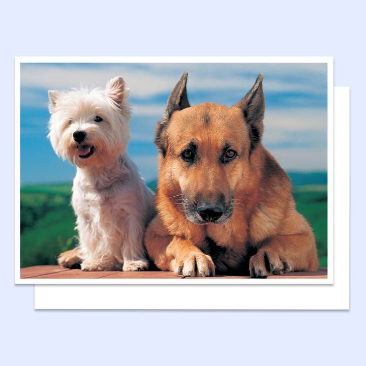 Cute & Smart One Happy Birthday Greeting Card for wholesale by Northern Exposure