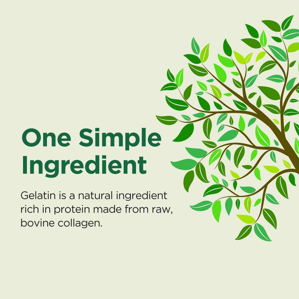 Rise Nutrition – wholesale Protein-/superfoodpulver – Gelatinpulver utan smak | Gräsmatat nötkött | (8 oz/240 g)6