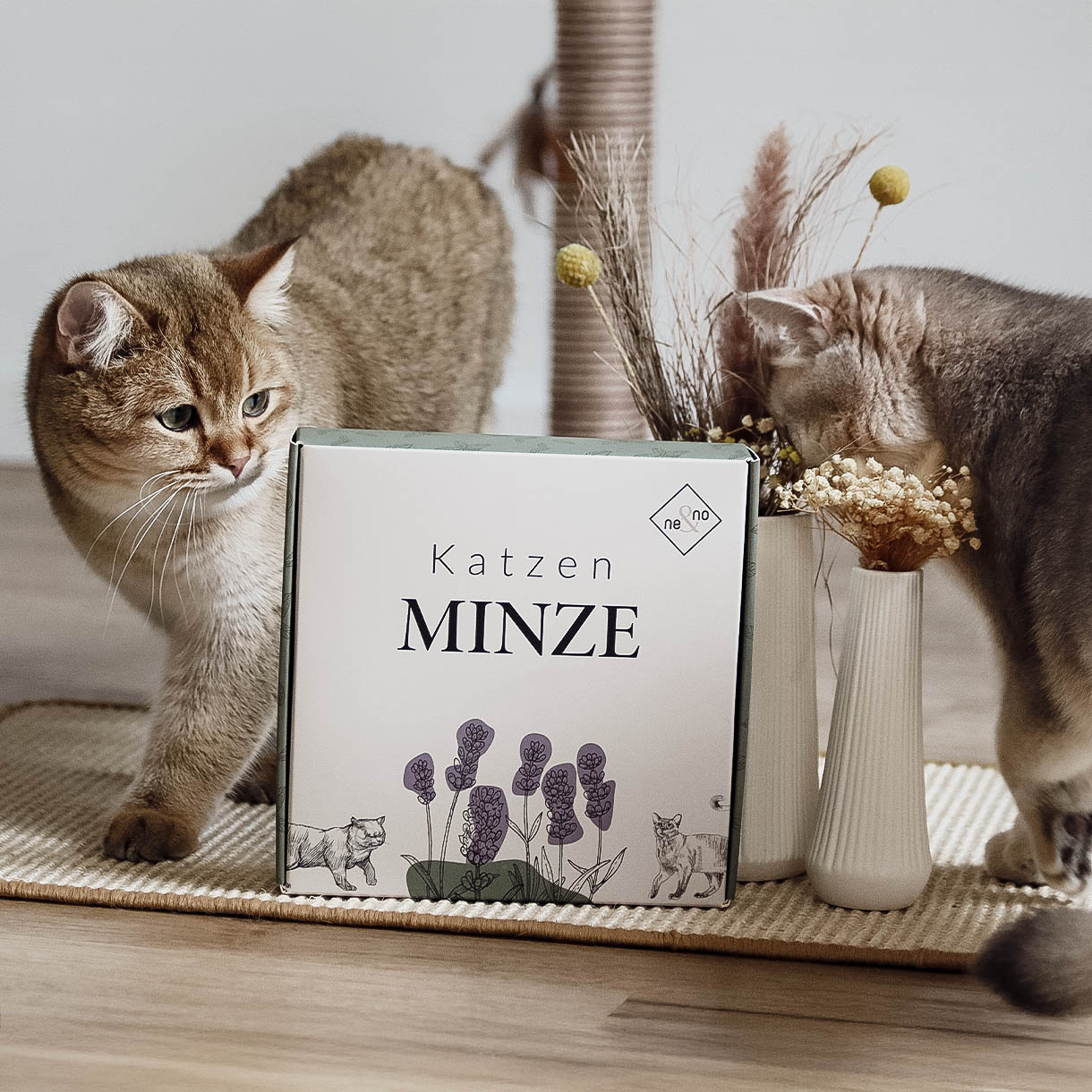ne&no – wholesale Leksak - Katt – ne&no® Naturlig kattmynta - Set med 3 i elegant presentförpackning9