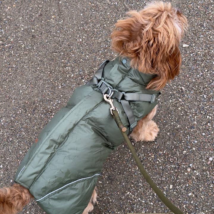 Puppy Bohème - Vendita all'ingrosso Cappotto - Cani - Cappotto invernale con imbracatura integrata - Verde foresta (senza maniche)4