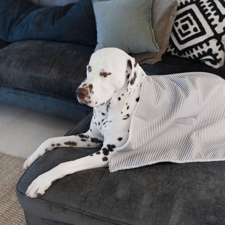 Lords and Labradors – wholesale Pet blanket – Dog – Dog & Puppy Blanket in Spots & Stripes17