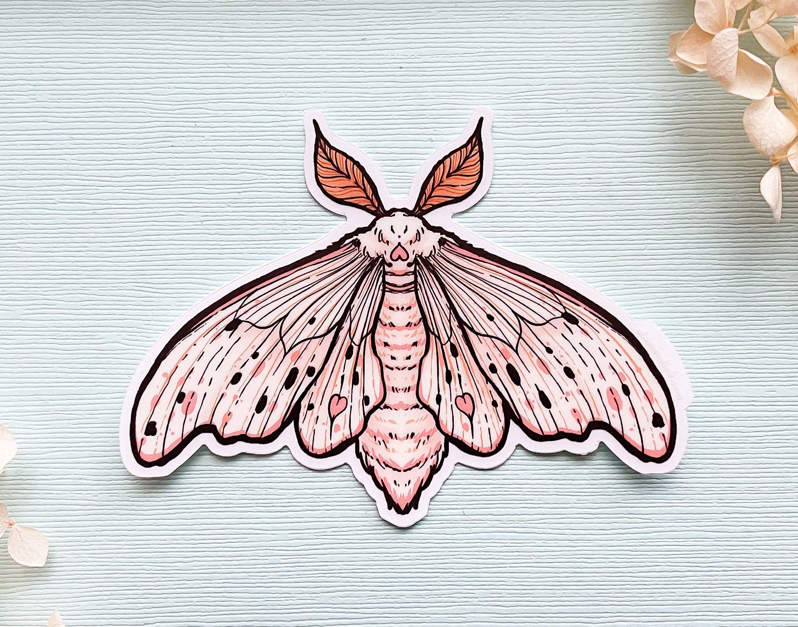 Alum and Ink - Wholesale Sticker - Poodle Moth (Domestic Silk Moth, Bombyx mori) Clear Vinyl Sticker6