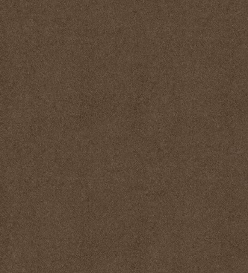 Hart & Horn - Wholesale Costume - Women's - Brown Witch Hat2