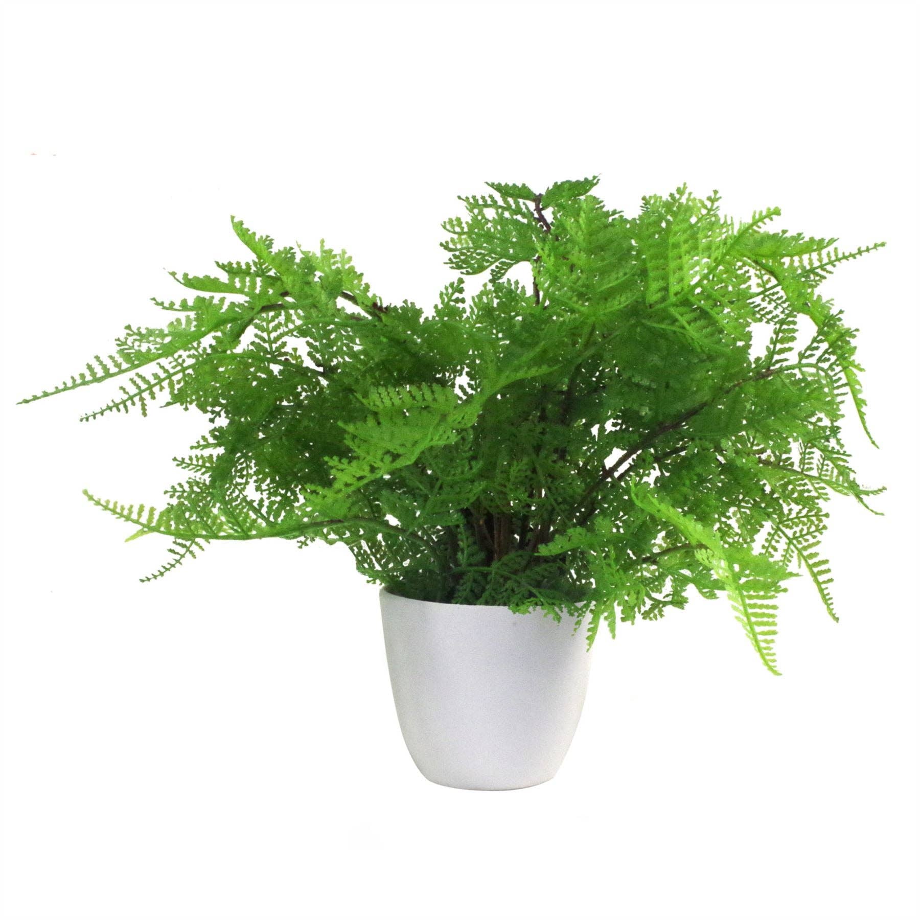 Leaf Design UK LTD – wholesale Artificial plant – Artificial Fern Plant 30cm Botanical Fern 30cm In Plant Pot5