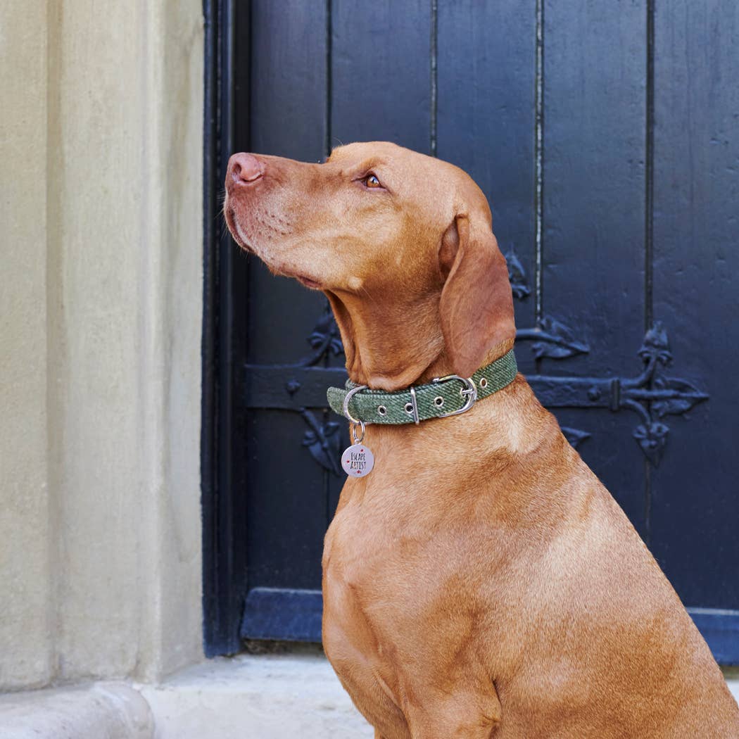 Sweet William Designs - Vendita all'ingrosso Etichetta per collare - Cani - Targhetta identificativa per cani - «Escape Artist»2