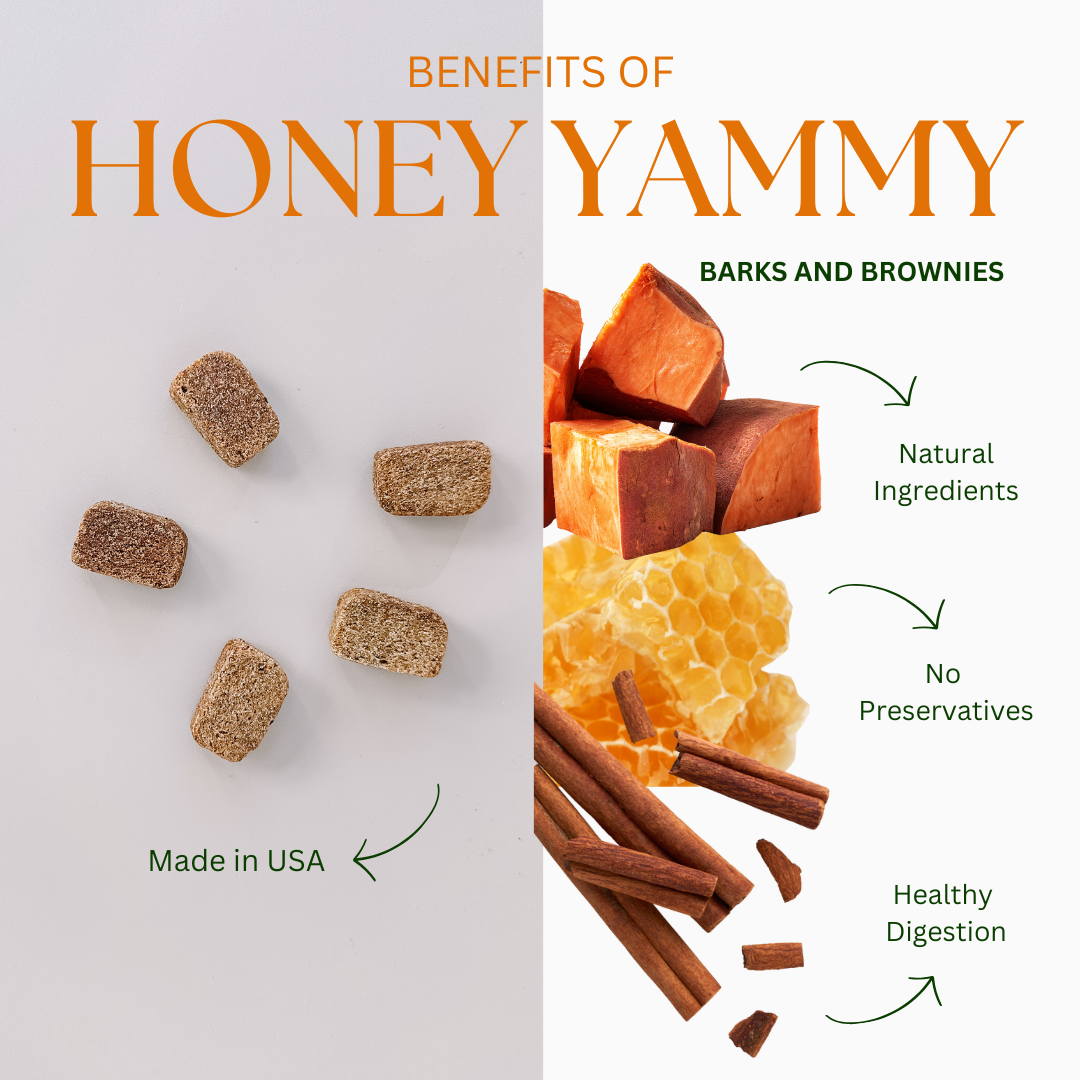 Barks and Brownies - Wholesale Pet Treats - Dog - HONEY YAMMY | Immune Boost Dog Treats1