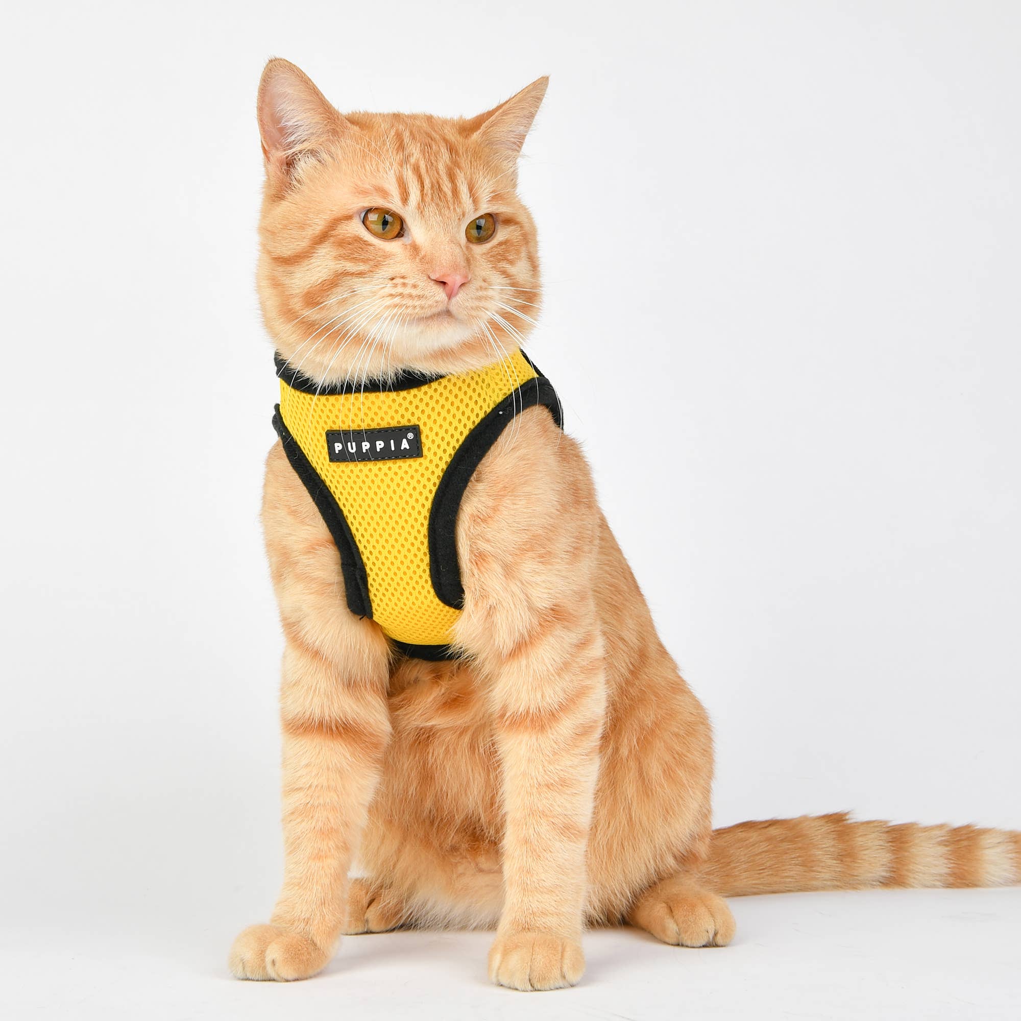 Puppia International Inc. - Vente Harnais – chien - Harnais souple pour chien Air Mesh Step-In24