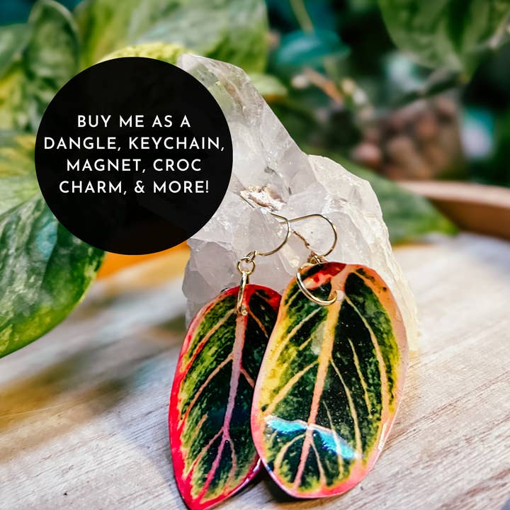 Aglaonema oorbel, magneet, speld, decor, plantenliefhebbers, blad voor wholesale door hethr