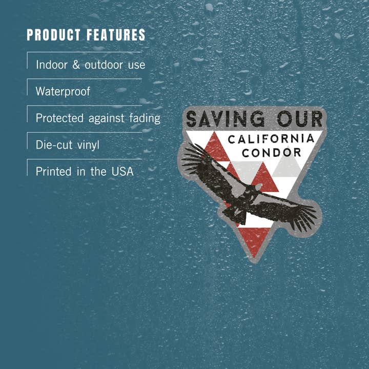 Lantern Press - Wholesale Sticker - STICKER Big Sur, California, Condor and Triangles3