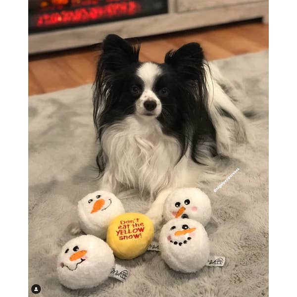 Midlee Designs - Wholesale Pet Plush Toy - Dog - Midlee Snowball Fight Plush Dog Toy