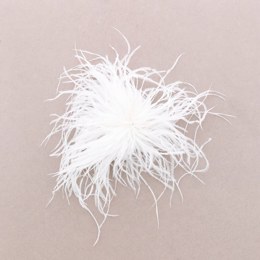 Sonata - Wholesale Brooch - Feather Brooch 10-15cm(C)0