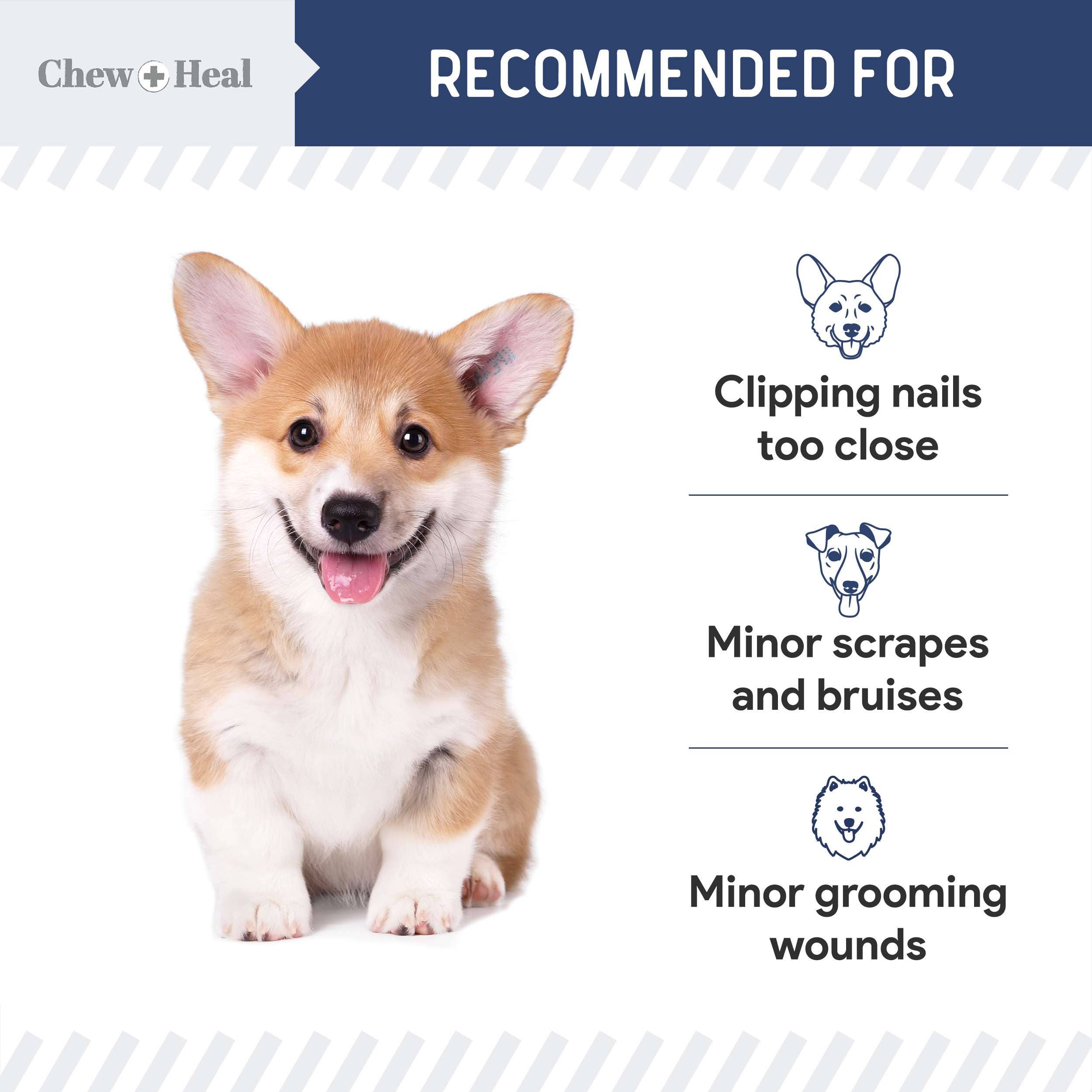 Chew + Heal - Wholesale Pet Grooming Aid - Dog - Chew + Heal Styptic Powder for Dogs, Cats and Birds2