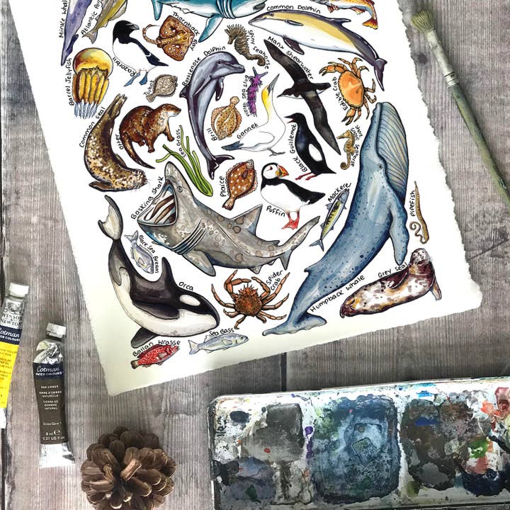 Alexia Claire Ltd – wholesale Everyday greeting card – Marine wildlife Art Blank Greeting Card3