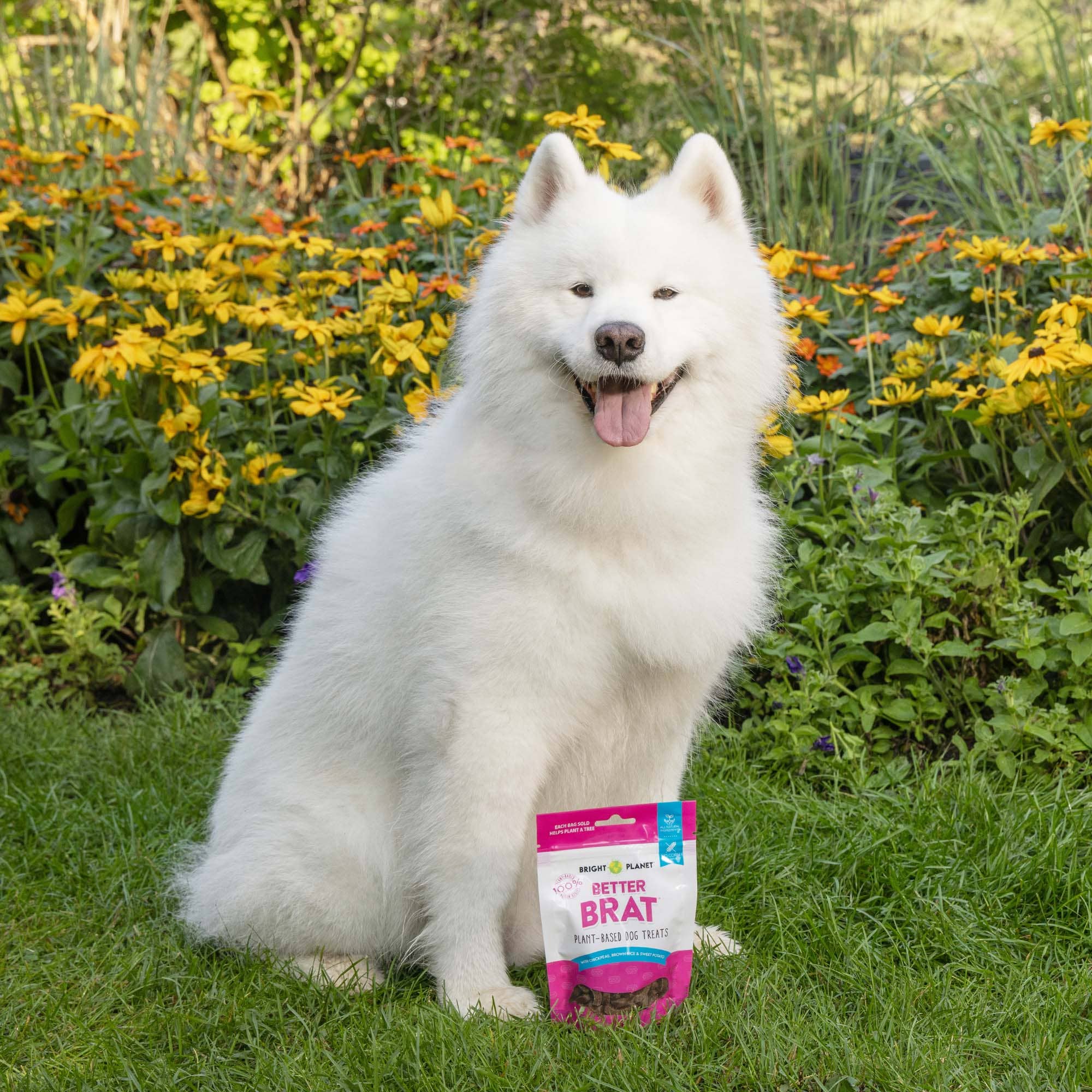 Bright Planet Pet - Wholesale Pet Treats - Dog - Better Brat Dog Treat3