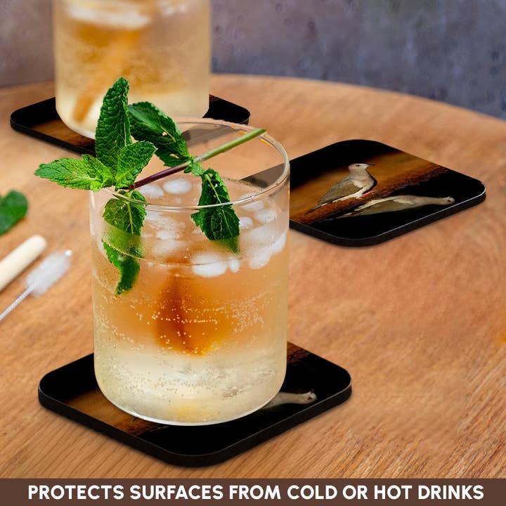 3dRose - Wholesale Coasters - 3dRose, White-tipped dove, Leptotila verreauxi by pond., Coaster9