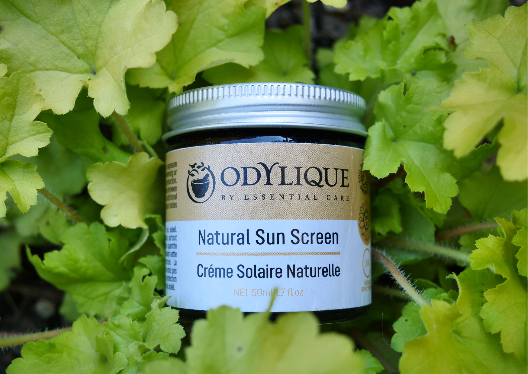 Odylique – wholesale Sunscreen – Odylique Natural Sun Screen4