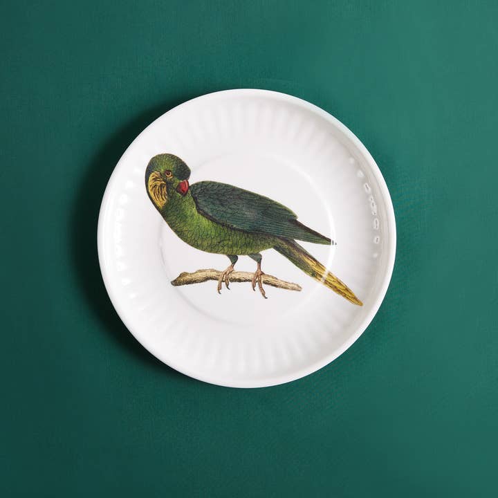 Siren Song - Wholesale Kartonnen bordje - Papegaai Lg. Papieren borden van melamine, set van 41