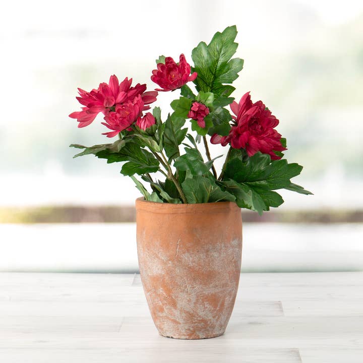Willow Group - Wholesale Plant Pot - RD CEMENT TAPERED POT