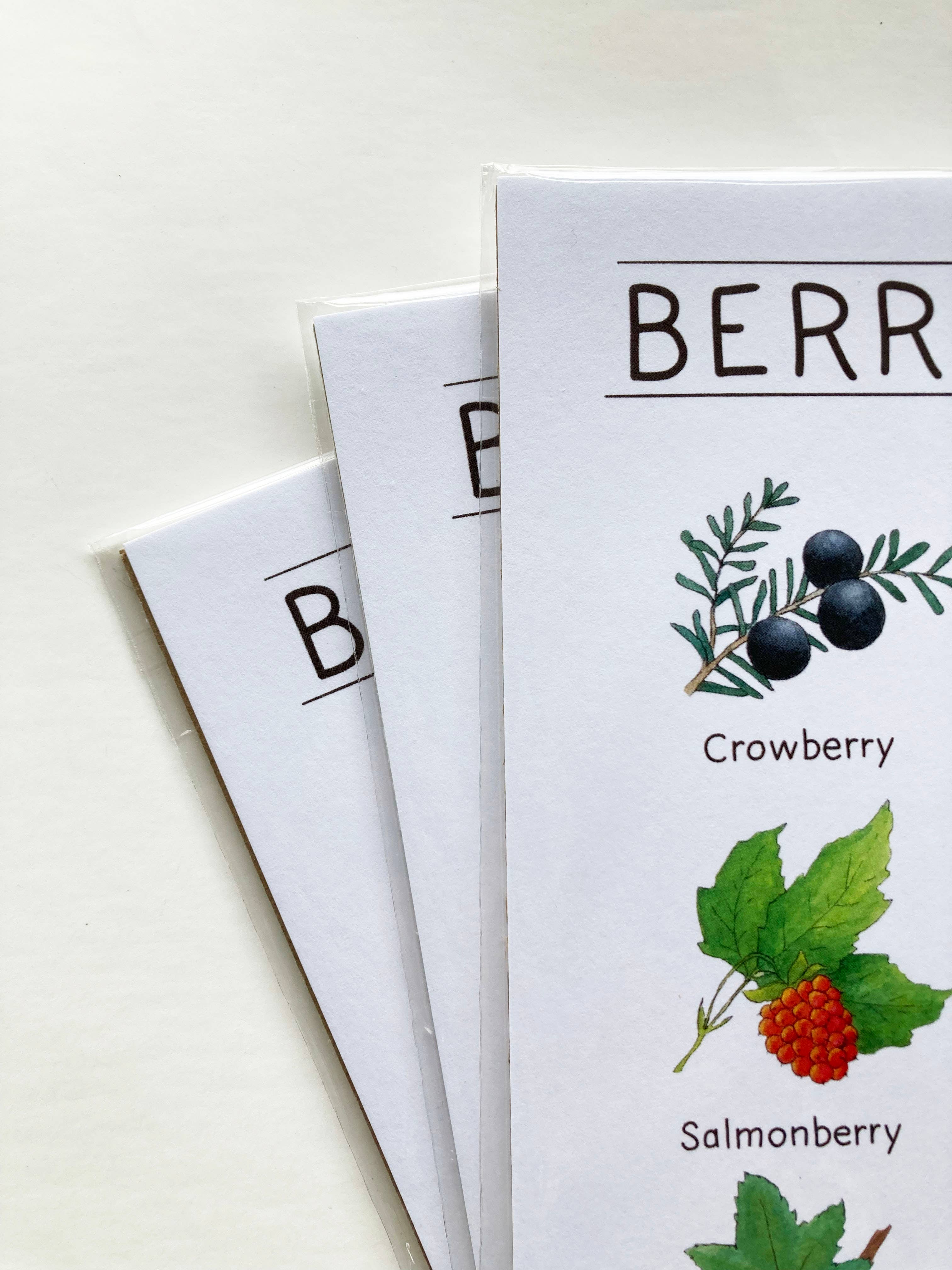 Tiny Nest Studio - Vente Affiche d'art - Impression artistique sur les baies d'Alaska6