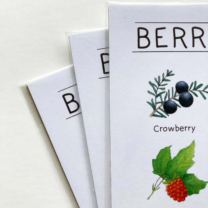 Tiny Nest Studio - Venta al por mayor Ilustración - Lámina artística Berries of Alaska6