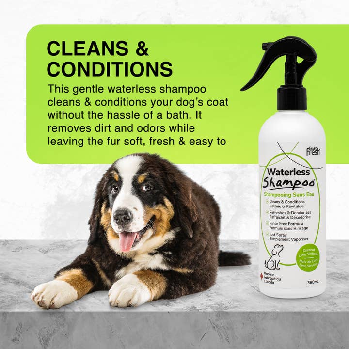 Enviro Fresh - Wholesale Pet shampoo – Dog - Dog Dry Shampoo, Waterless Pet Shampoo1