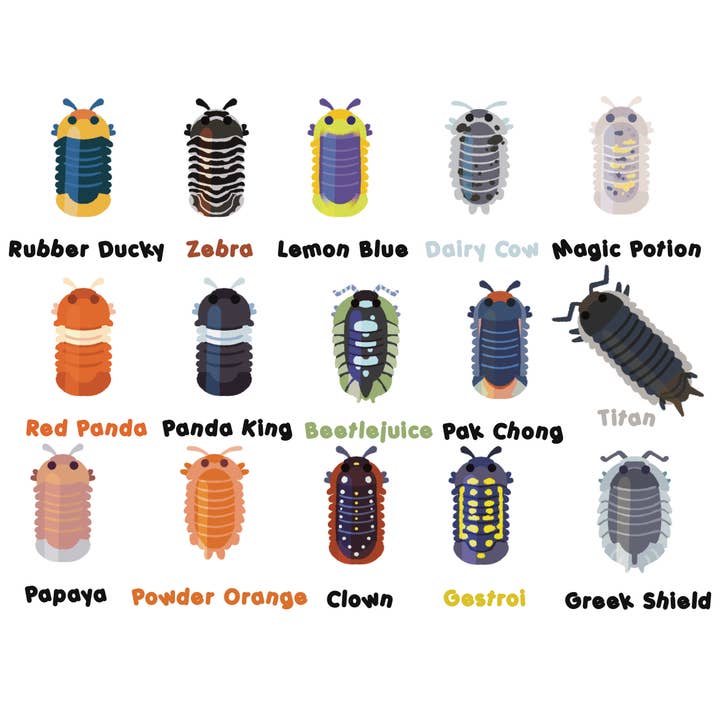 Microbiome Arts - Wholesale Keychain - Unisex - Mini Isopod Keychain Charms1