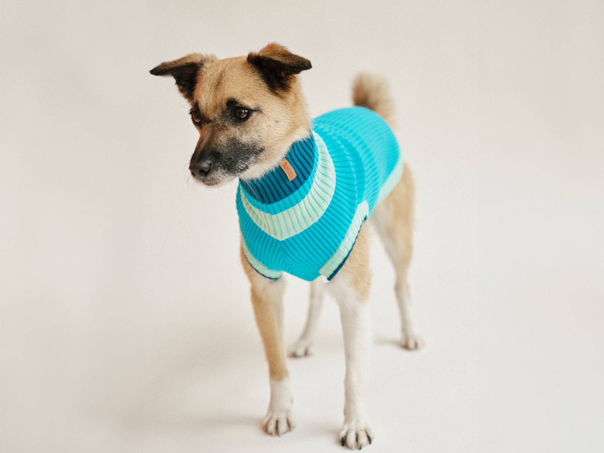 CRYSTAL SKY THE GLOW JUMPER (knitted dog sweater, blue) for wholesale on Faire0