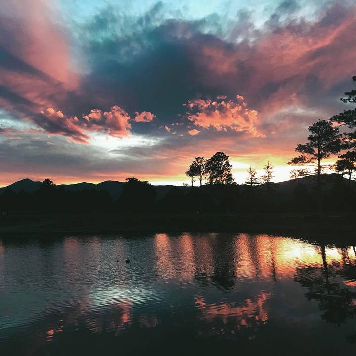 Bomullsgodis rosa himmel//New Mexico för wholesale av Alison Holcomb Creative